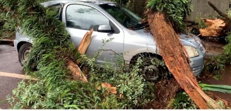 Portal O Novo Oeste Temporal Causa Preju Zos No Centro De Cascavel