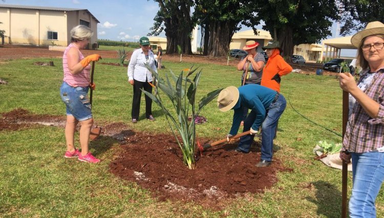 Produtoras Rurais participam de curso de jardinagem em Cafelândia