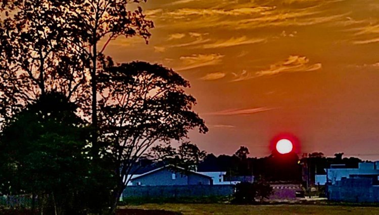 Fotos feitas por Patrícia Lunovich, expressam a beleza da chegada da Primavera