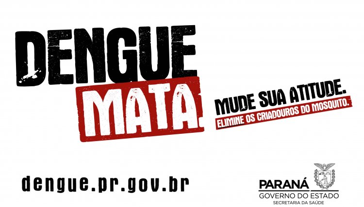 Governo do PR capacita profissionais para enfrentamento da dengue