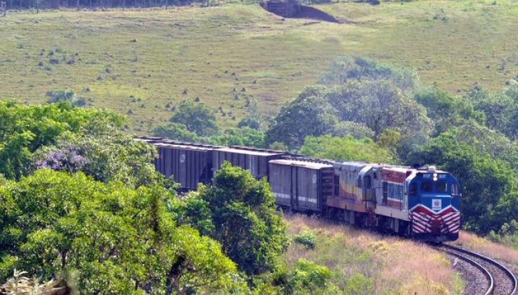 Oeste aumenta transporte de grãos por ferrovia em 128% para Paranaguá