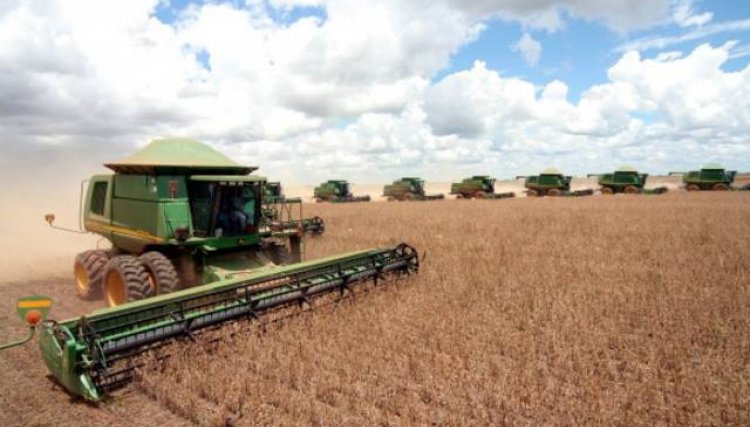 Brasil prevê safra recorde de 247,4 milhões de toneladas, com o PR em segundo lugar entre os estados