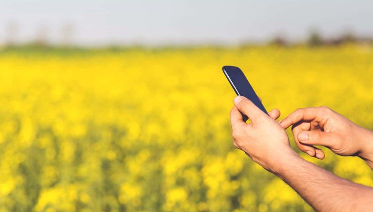 Tim investe em expansão da rede 4G para o interior do PR com foco no agronegócio, veja os planos diferenciados 