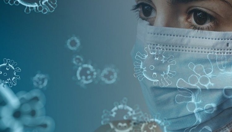 PR se aproxima de 15 mil casos e já registra 460 mortes por Covid-19 
