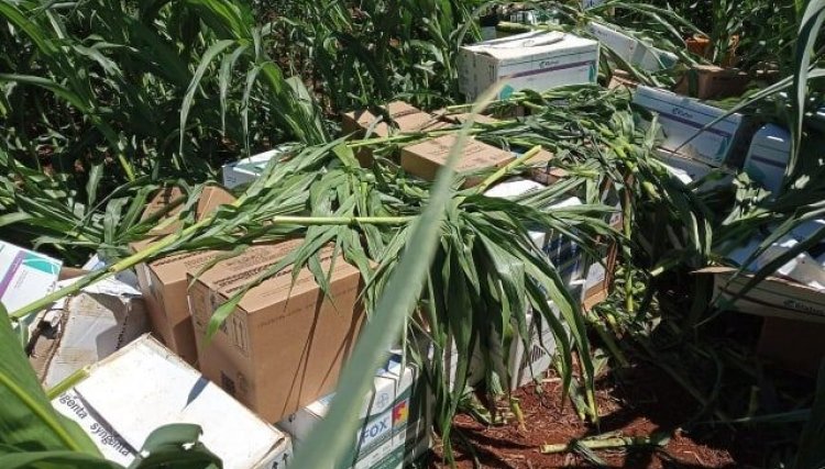 Produtor encontra na lavoura de milho, mais de R$ 600 mil em defensivos agrícolas na região Oeste