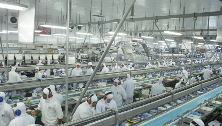 BRF irá manter empregos e vai contratar mais 2 mil novos funcionários