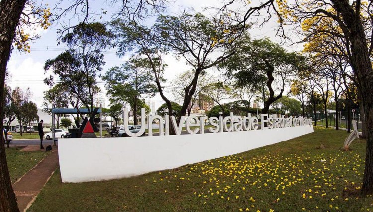 UEM inventa curativo com própolis para tratar lesões da pele