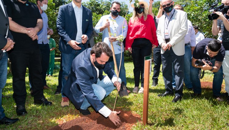 Cerimônia marca o plantio de 24 milhões de árvores realizada pela Itaipu