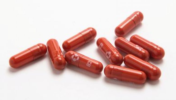 Pfizer: comprimido antiviral reduz risco de covid-19 grave em 89%