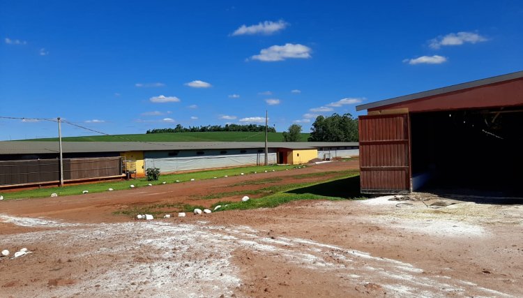 Diversos equipamentos são furtados de propriedade rural em Jesuítas
