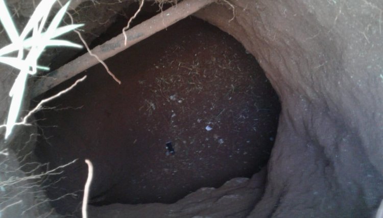 Presos escapam de presídio na região após cavarem um túnel