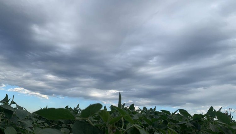 Chuva traz alivio ao campo e no abastecimento de água