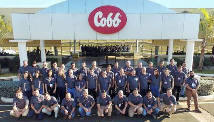 Cobb-Vantress sedia nova edição do Workshop de Nutrição