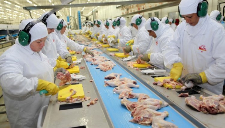 Governo do México renova a cota de importação da carne de aves do Brasil