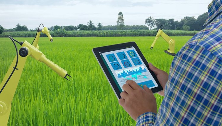 Mapa digitaliza mais de 80 serviços, expectativa é gerar economia para o produtor rural