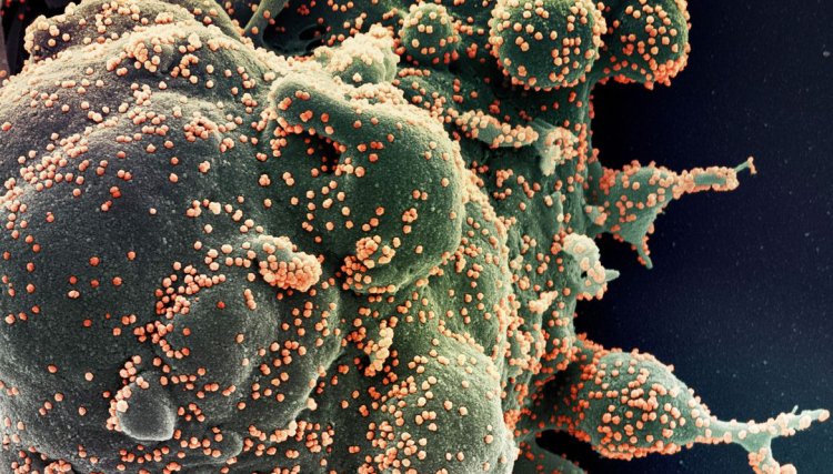 Novos casos e mortes por covid-19 continuam a baixar no mundo