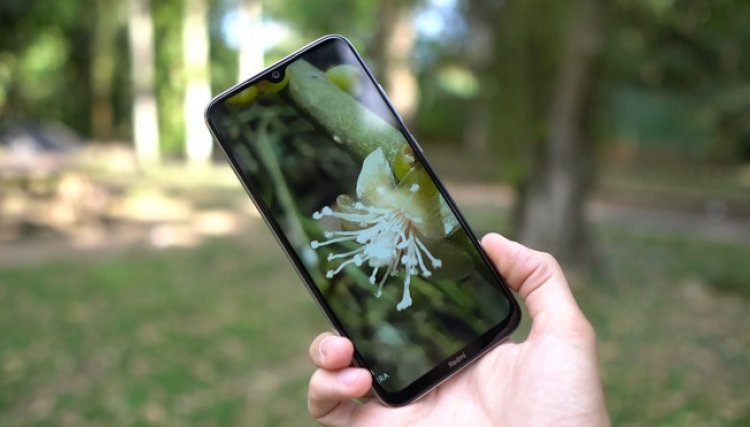 Celular é furtado de armário de empresa em Cafelândia