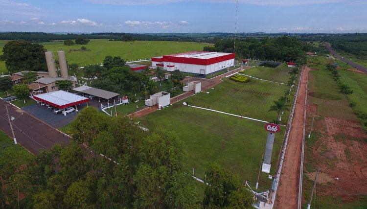 Cobb-Vantress anuncia investimentos de R$ 50 milhões em MG