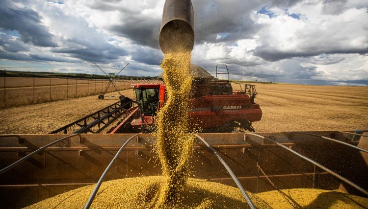 Comércio exterior do agronegócio tem saldo de US$ 9,3 bi em fevereiro
