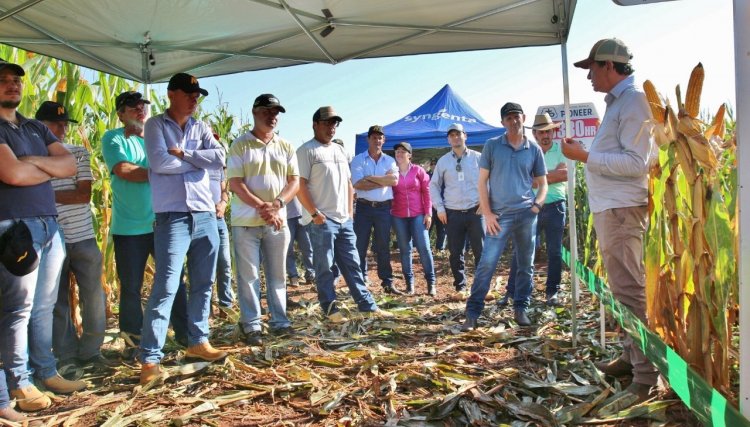 Produtores rurais de Formosa do Oeste participaram de Dia de Campo