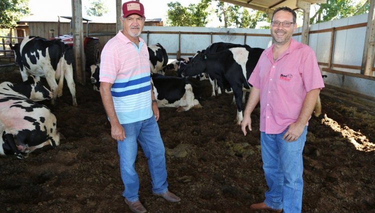 Ração produzida pela Copacol com a marca Bovimais é destaque de torneio leiteiro