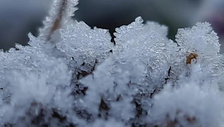 Frio intenso e geada serão destaques na região Oeste no início da segunda quinzena de Maio