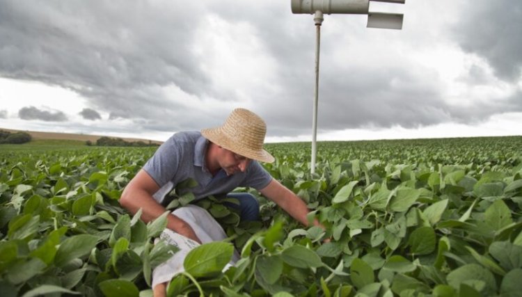 Copacol desenvolve ação para celebrar o Dia do Agricultor por meio de fotografias 