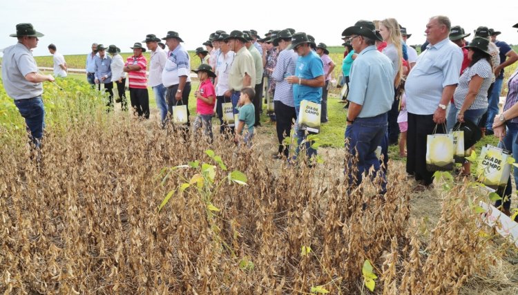 Copacol abre com sucesso a 28ª edição do Dia de Campo