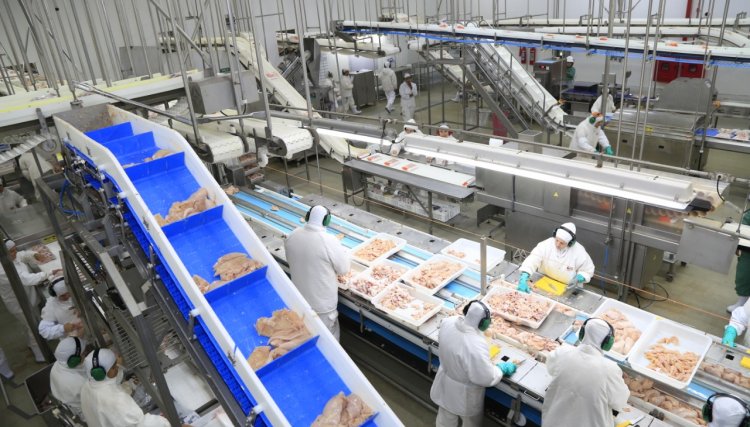 Região Sul do Brasil é o maior centro produtivo de proteína animal do mundo
