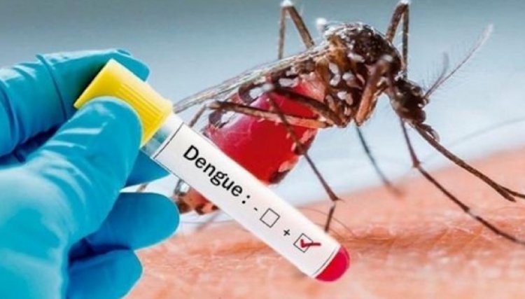 Paraná tem 112 novos casos de dengue confirmados