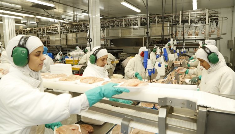 Produção de carne no mundo aumentará em 20% até 2030