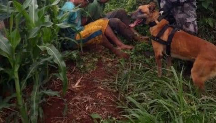 Foragidos da cadeia de Ubiratã são presos em Corbélia