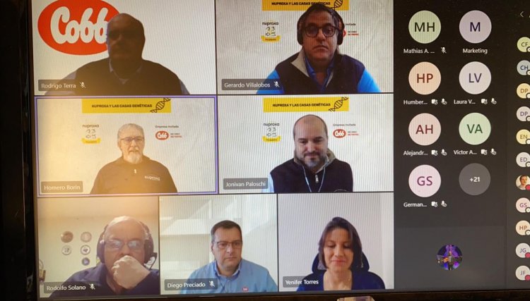 Cobb mantém serviço de excelência durante pandemia