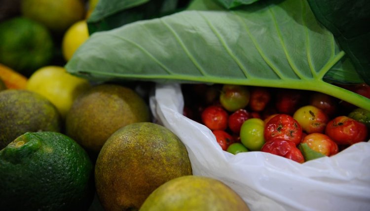 931 milhões de toneladas de alimentos foram para o lixo em 2019 