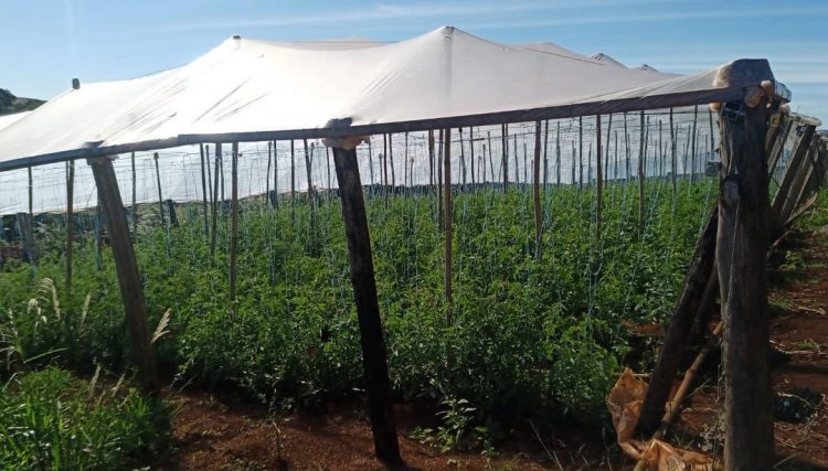 Transferência de renda melhora a produção e a vida de agricultores familiares