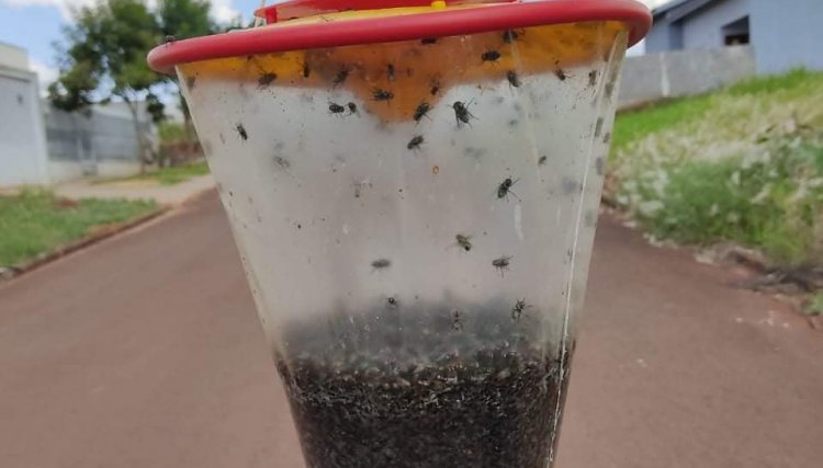 Nova Aurora realiza ações para controlar infestação de moscas no município