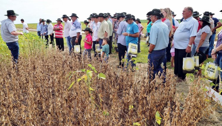 Dia de campo da Copacol 2020 já tem programação definida