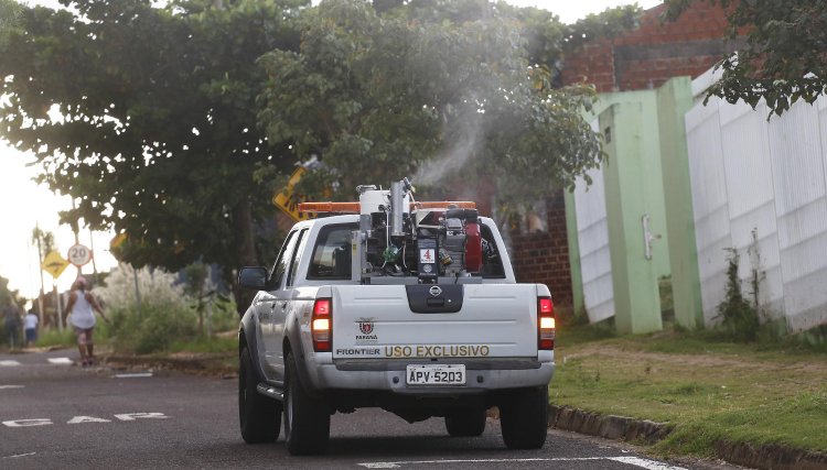 Novo inseticida contra mosquito da dengue deve chegar neste mês