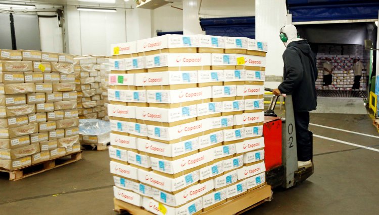 Copacol bate recorde no faturamento das exportações de frango no mês de julho, com valores acima dos R$ 100 milhões 