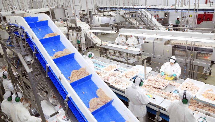 Unit&aacute; abre 500 novas vagas de trabalho para a Unidade Industrial de Aves 