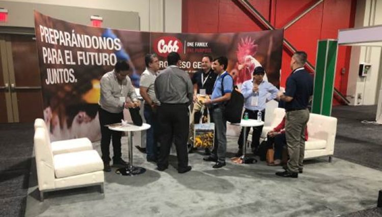 Cobb-Vantress compartilha experiência em manejo de machos no Latin American Poultry & Nutrition Congress 2018