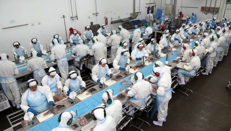 Programa Quem Indica Copacol, continua pagando R$ 50,00 para a indicação de trabalhadores