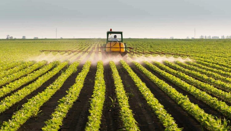 Empresa investe R$ 134 milhões em produção de fertilizantes no Brasil