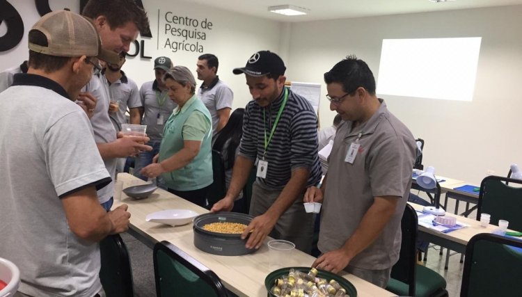Colaboradores da Copacol se preparam para periodo da Safra