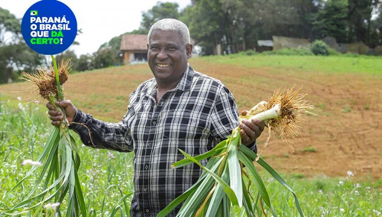 Líder nacional em alimentos orgânicos, Paraná investe para ampliar produção e consumo