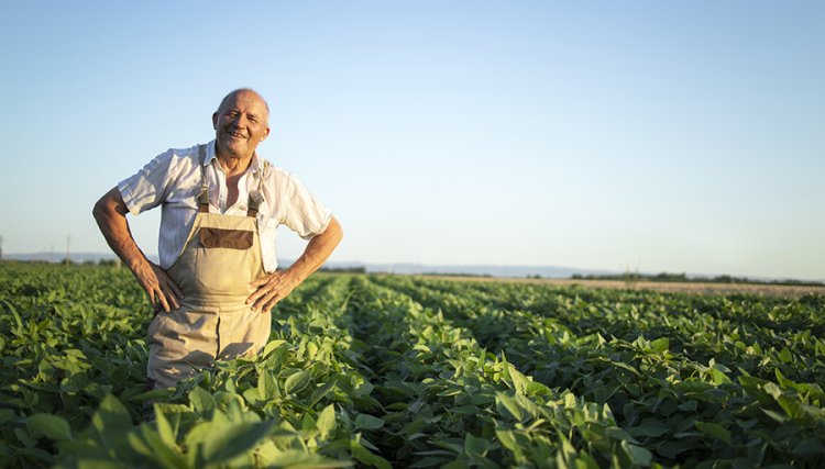 Importância das Cooperativas no agronegócio paranaense é pauta de audiência pública