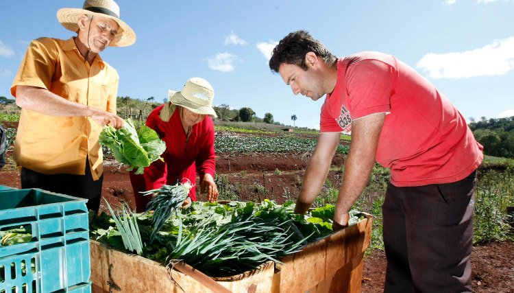 Micheletto alerta sobre o prazo para os produtores participarem da venda de produtos da Agricultura Familiar