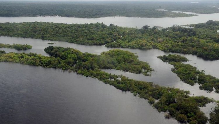 Dia da Amazônia: mulheres agricultoras falam sobre preservação