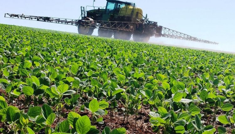 Glifosato é fundamental para a agricultura brasileira, afirma a CNA 