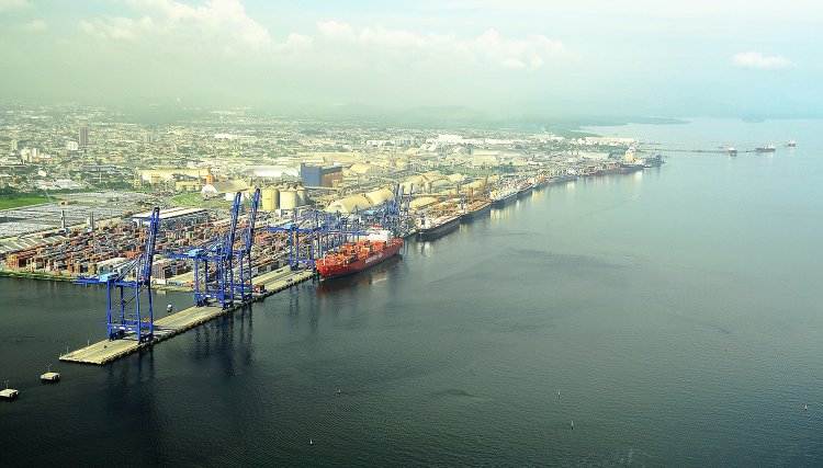 Março fecha com acréscimo de 15,4% nas exportações de frango do Brasil  